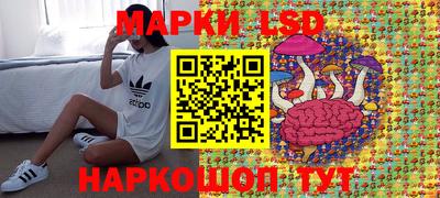 индика Новокубанск