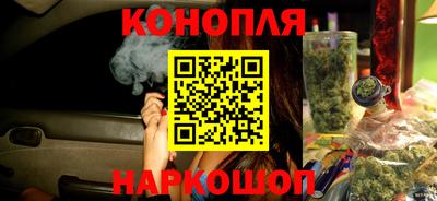 спиды Новозыбков