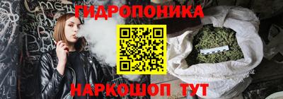 индика Новокубанск