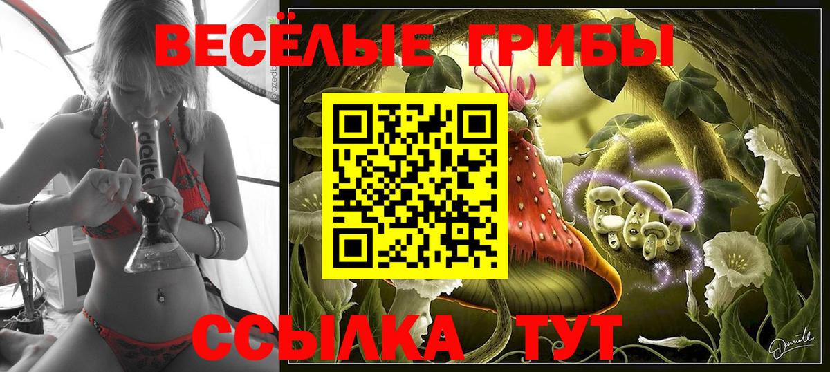 Ступино  Галлюциногенные грибы ЛСД  Вход с VPN 